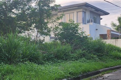 Paranaque City lands. Lots for sale in Paranaque City .